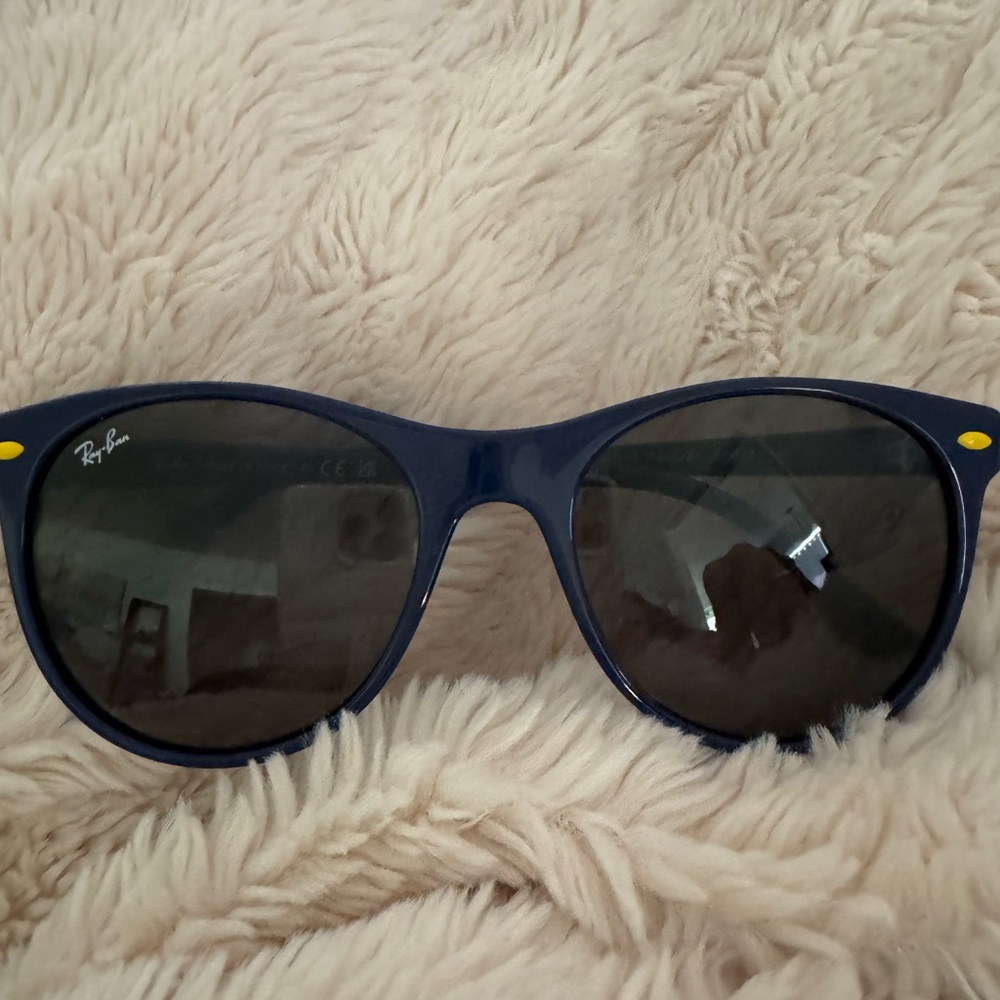 Ray-Ban Black Frame Sunglasses